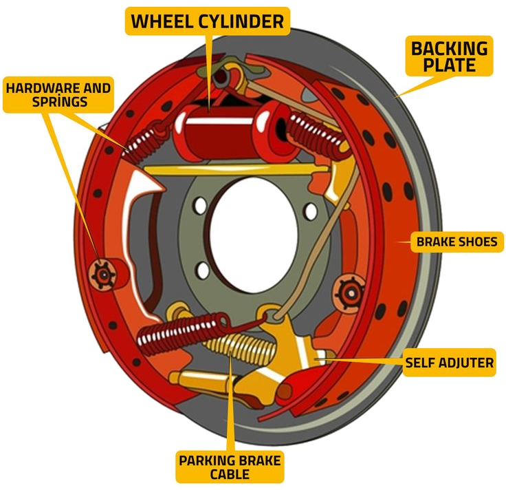 Rear Drum Brake Assembly Components